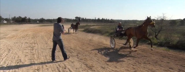 Striscia la Notizia, Edoardo Stoppa blocca le corse di cavalli in un ippodromo a