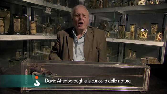 Clip 1 - David Attenborough e le curiosità della natura