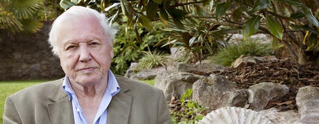 David Attenborough