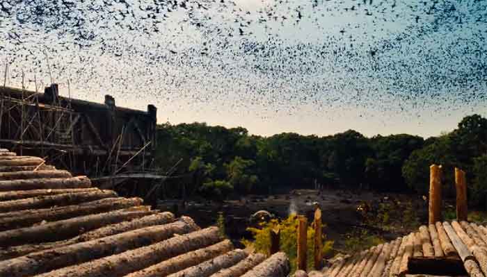 Featurette Gli animali - Noah