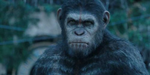 Clip La storia di Caesar – Apes Revolution Il pianeta delle scimmie