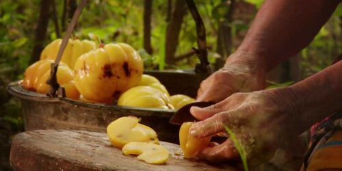 Clip 1 - The Look of Silence