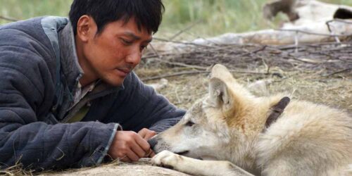 L’ultimo lupo di Jean-Jacques Annaud al cinema da marzo