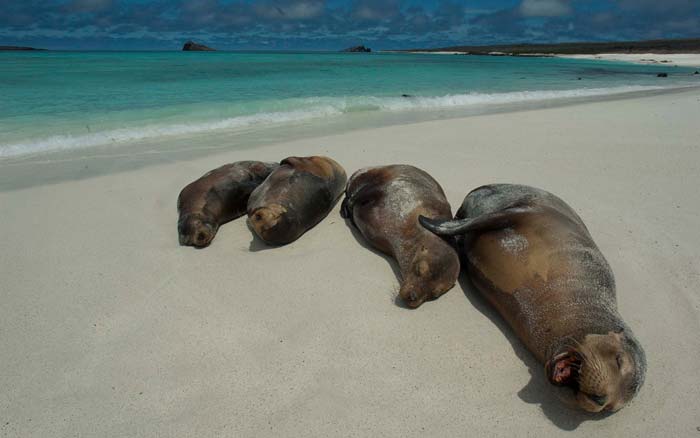 Galapagos: l'arcipelago dell'evoluzione