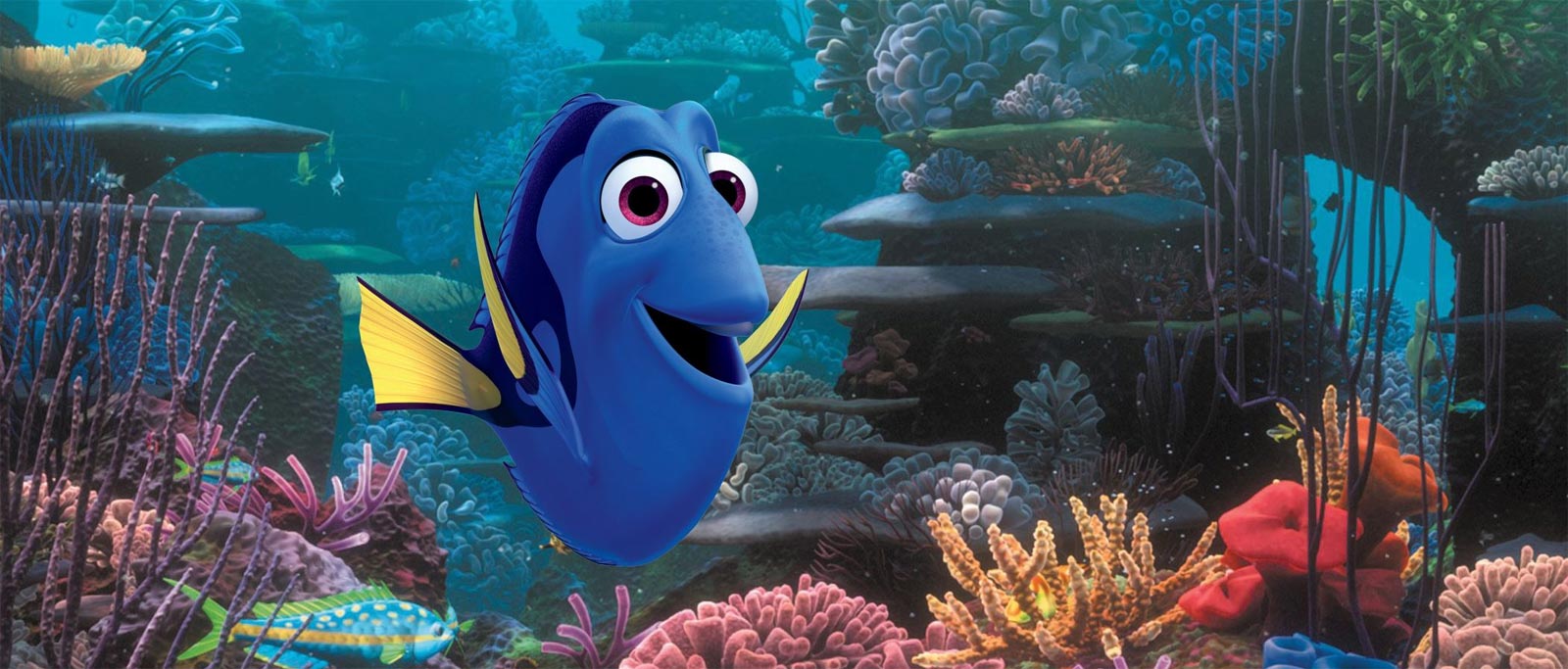 Alla ricerca di Dory