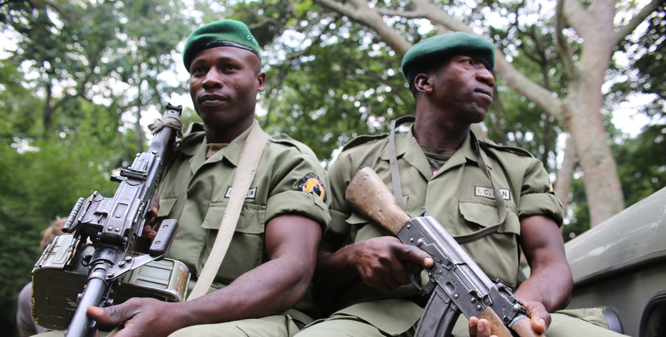 Virunga, un Parco da salvare