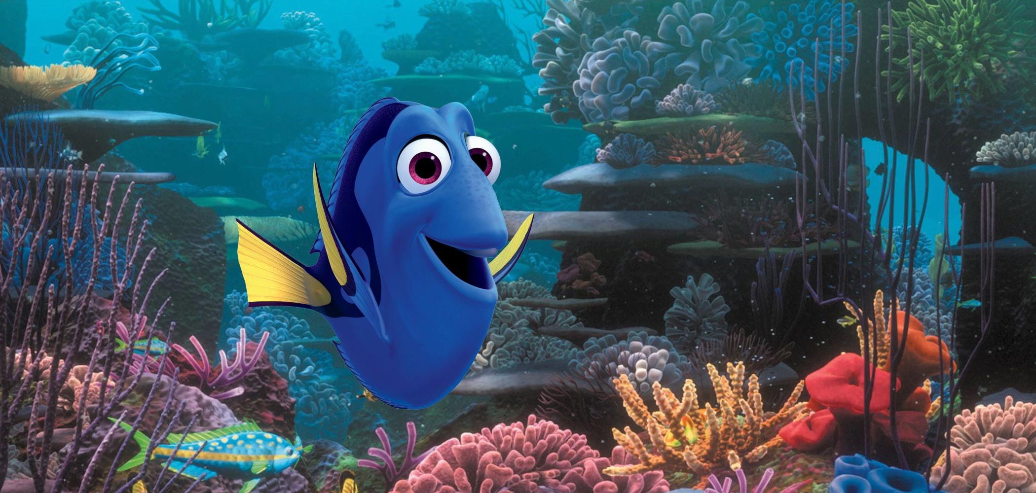 Alla ricerca di Dory