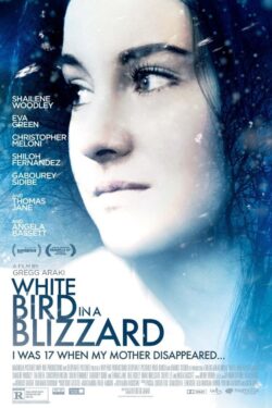 Locandina White Bird in a Blizzard