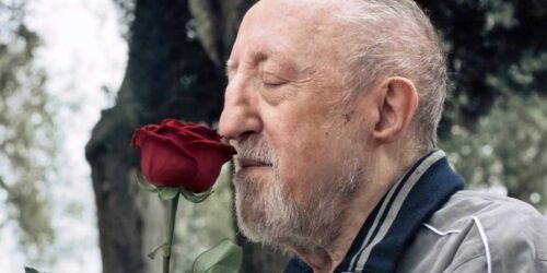 Chi salverà le rose? al cinema da marzo