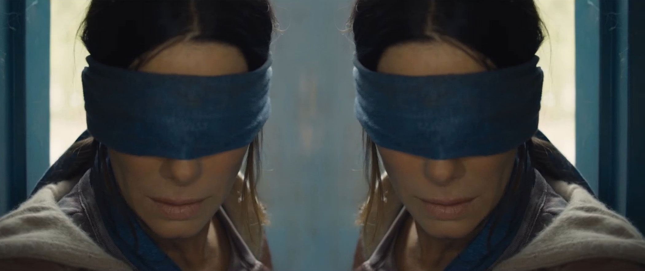 Bird Box