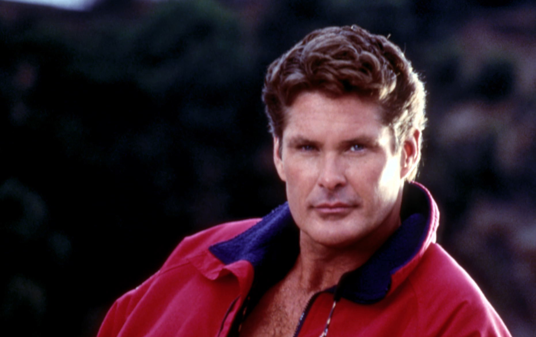 David Hasselhoff