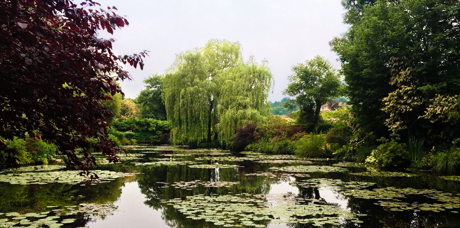 'Le ninfee di Monet. Un incantesimo di acqua e di luce'