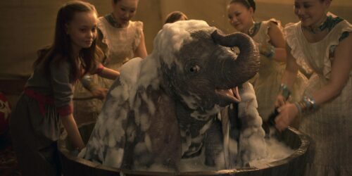 Box Office Italia: Dumbo primo, A un Metro da Te secondo