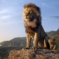 Il Re Leone, recensione del film Disney in live action