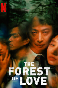 locandina The Forest of Love