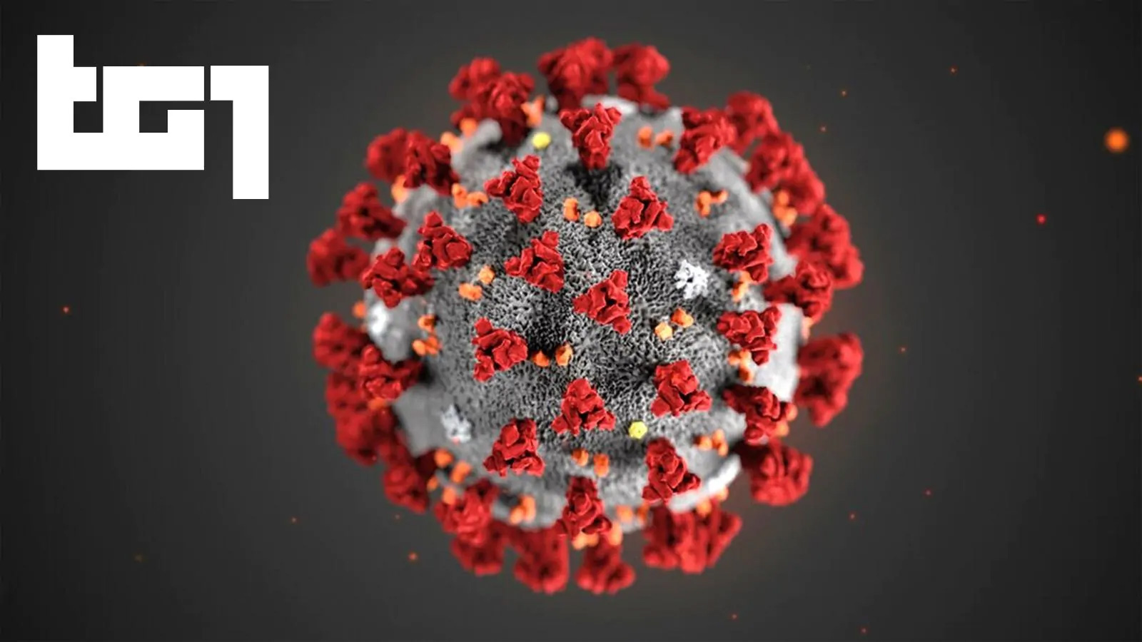 RAI Coronavirus COVID-19