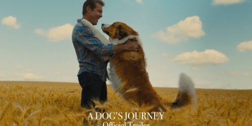 A Dog’s Journey, Trailer del sequel di Qua la Zampa