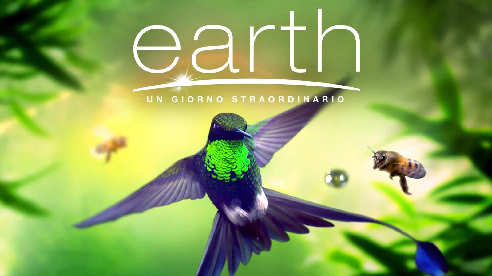 Earth - un giorno straordinario