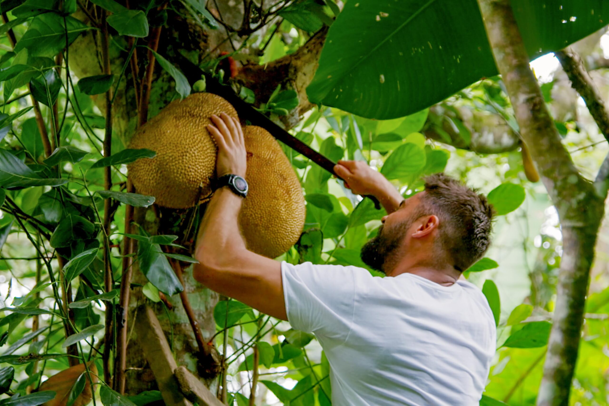 Zac Efron in Zac Efron: con i piedi per terra 1x03 'Costa Rica' [credit: courtesy of Netflix]