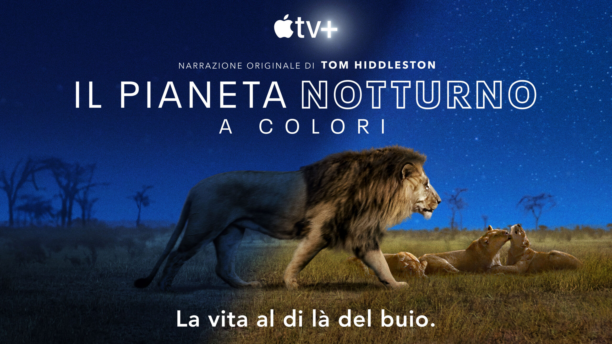 Locandina Il pianeta notturno a colori