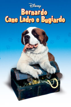 locandina Bernardo, cane ladro e bugiardo