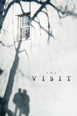 Poster The Visit