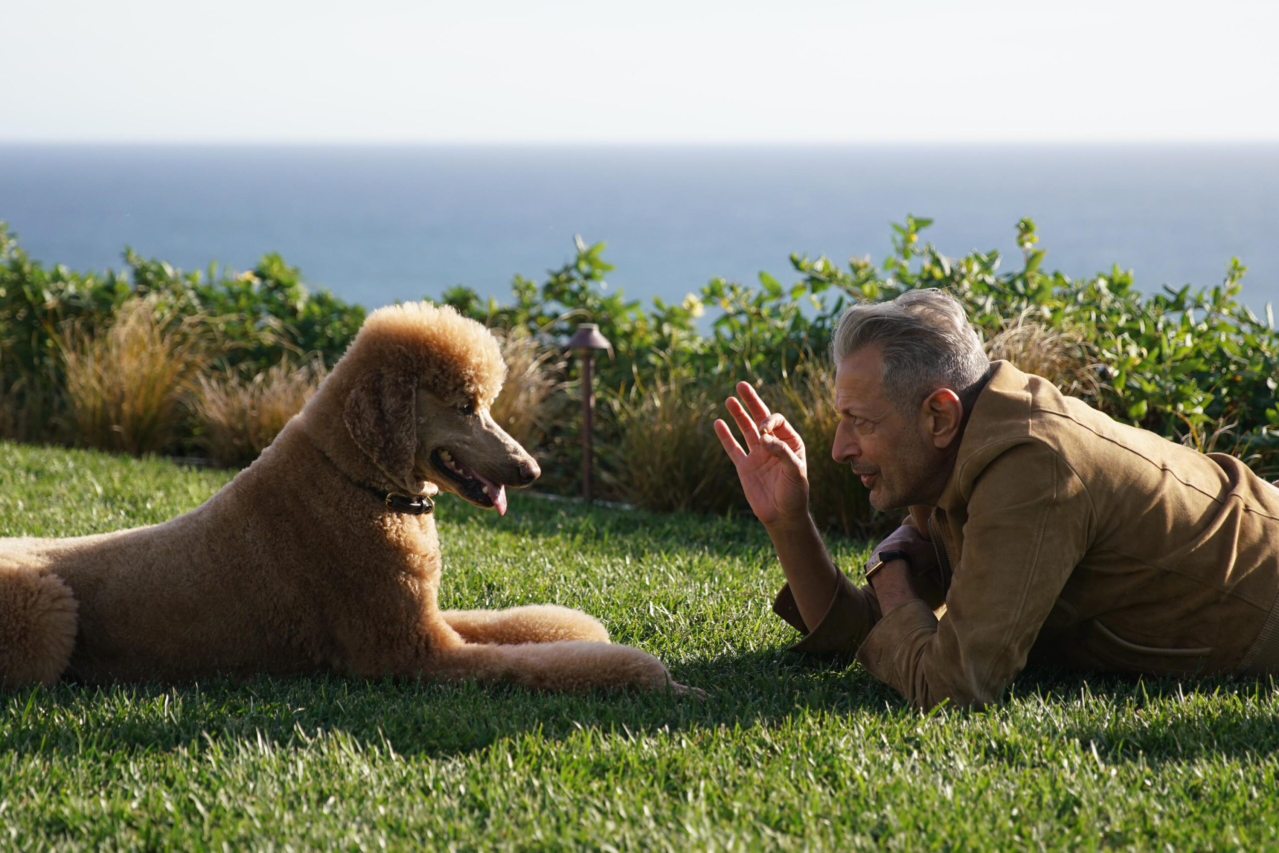 Los Angeles, CA - Jeff Goldblum with his dog, Woody. [credit: National Geographic]