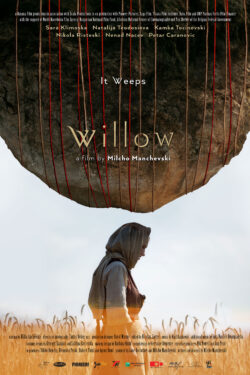 Poster Willow (Vrba)