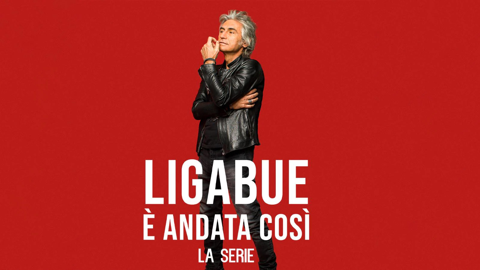 Ligabue - È andata così