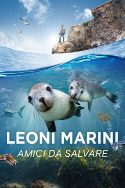 locandina Leoni marini – Amici da salvare