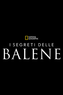 I segreti delle balene