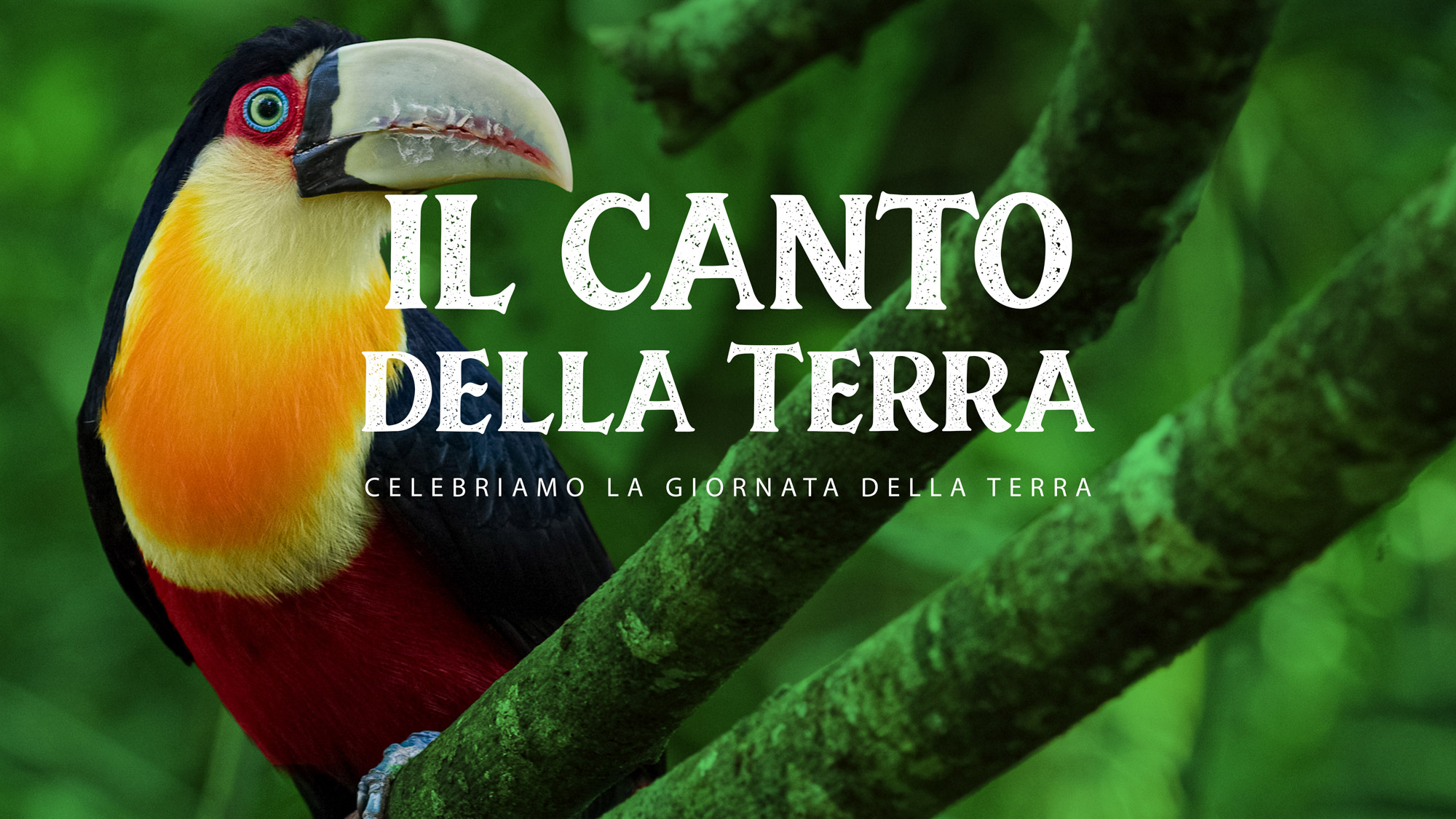 Cover Stories - Il canto della terra