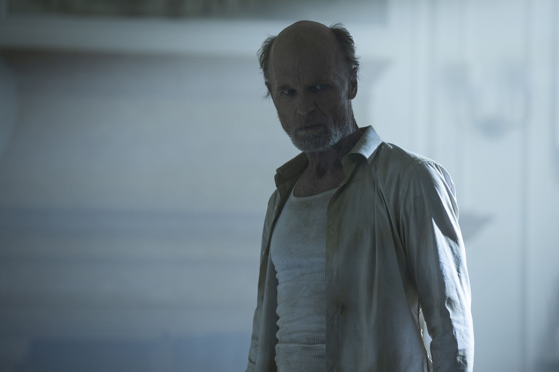 Ed Harris in Westworld 3x04 [credit: foto di John P. Johnson/HBO; courtesy of WarnerMedia]