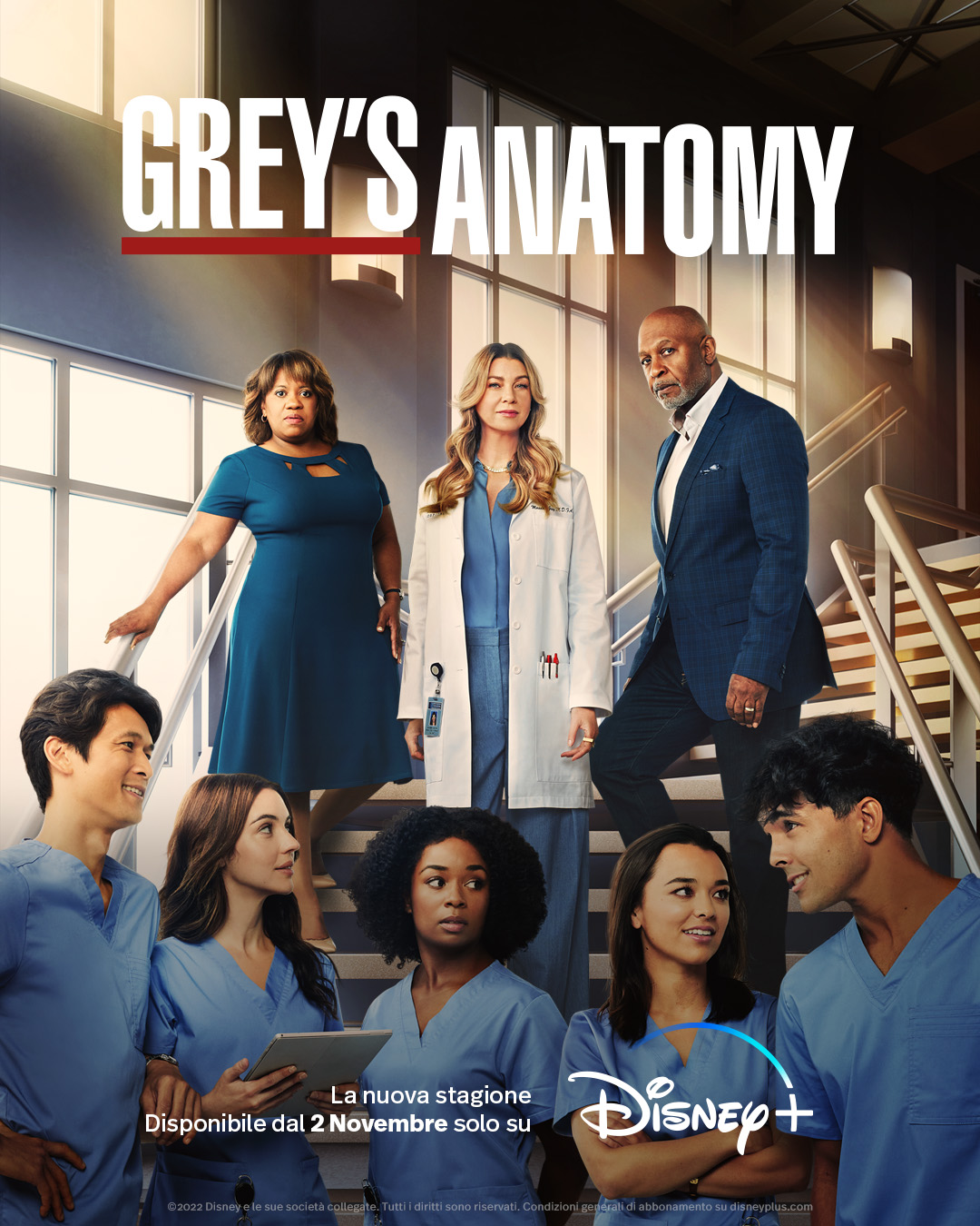 Grey's Anatomy (stagione 19) - Poster