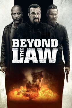 locandina Beyond the law