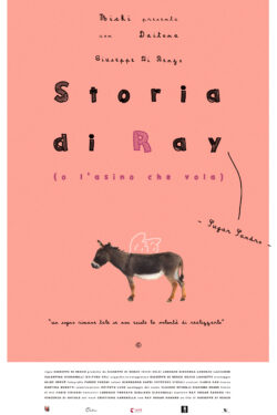 Locandina Storia Di Ray