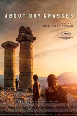 Poster Poster About Dry Grasses di Nuri Bildge Ceylan