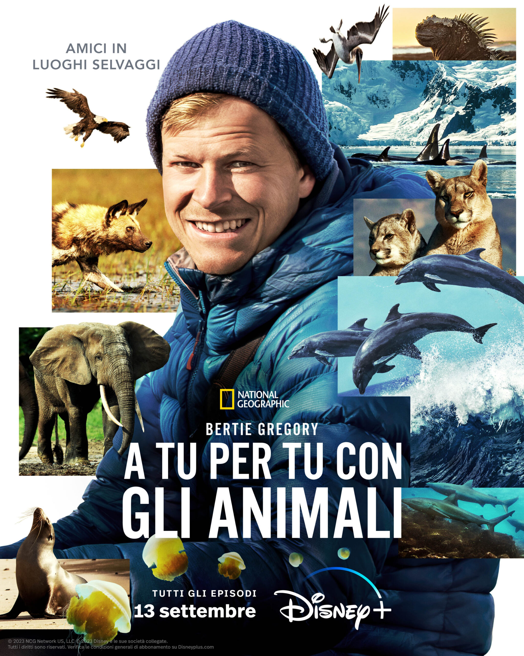 Poster Bertie Gregory: A tu per tu con gli Animali (stagione 2)