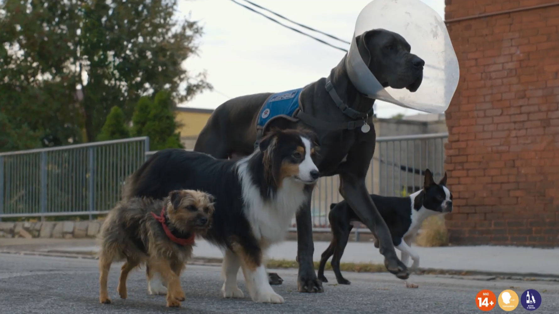 Doggy Style di Josh Greenbaum, scena da clip Eagle