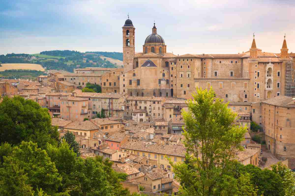 urbino